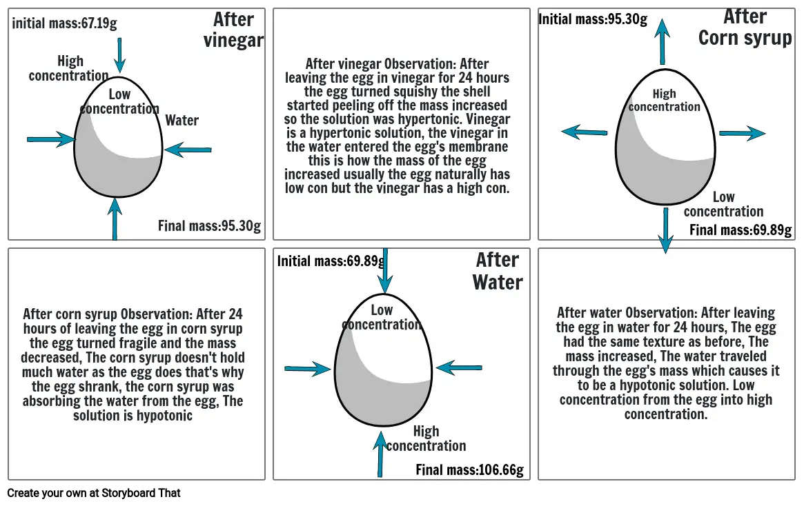 Osmosis project