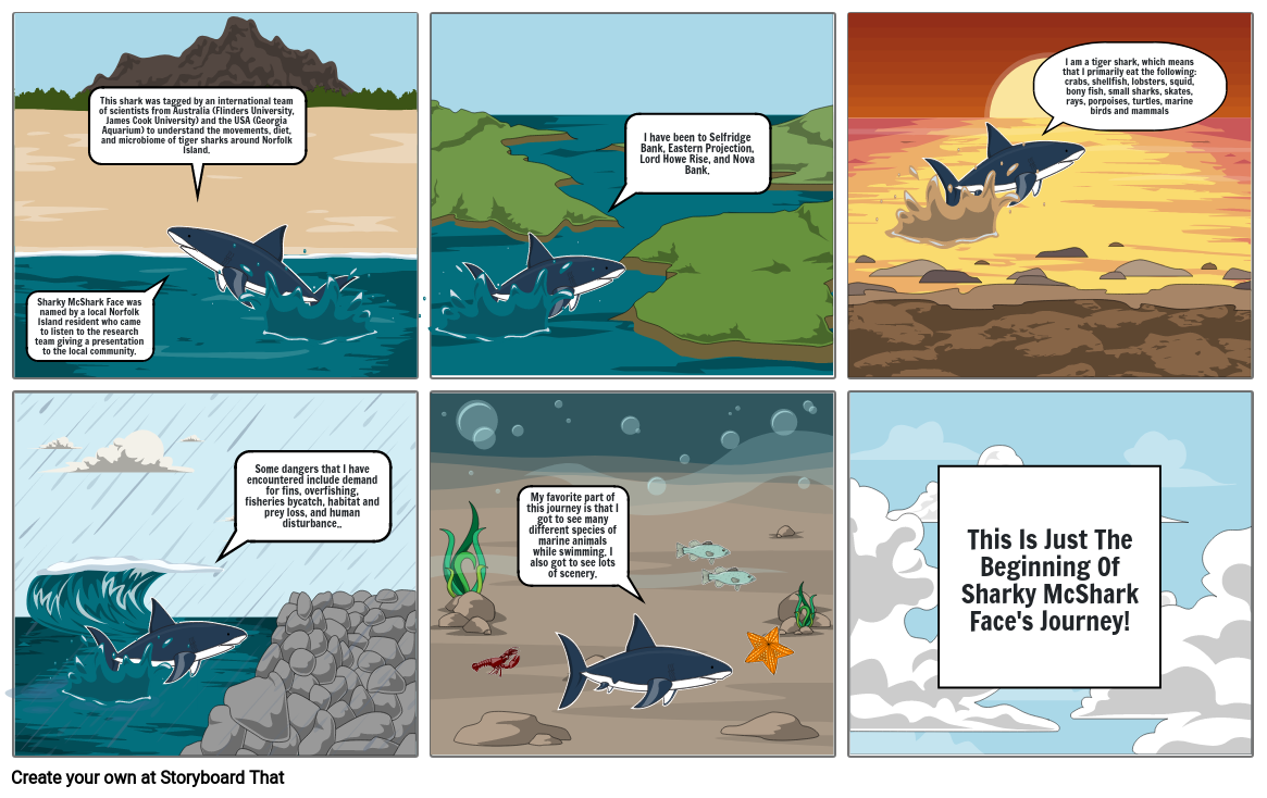 Shark Storyboard