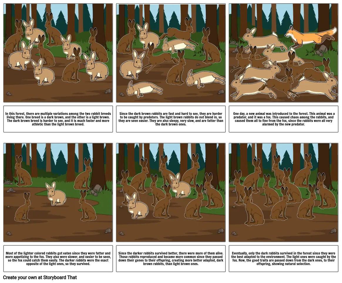 Brown Rabbit adaptation