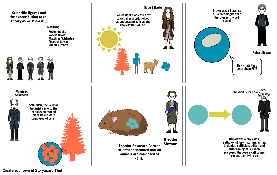 Cell Theory Comic Strip Storyboard by 86c7e416