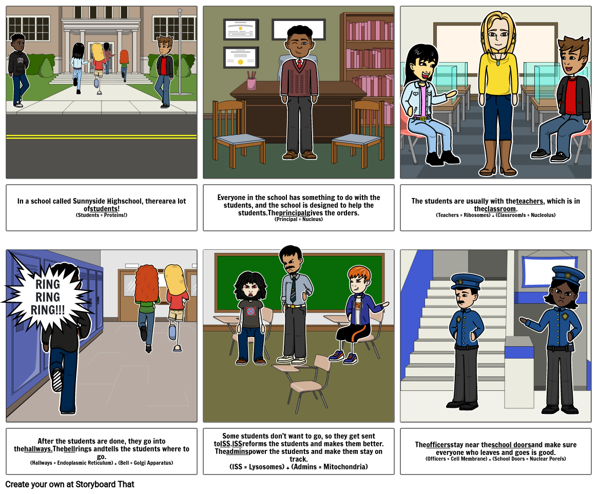 The School Analogy(Cell Analogy) Storyboard by 870aaf3e