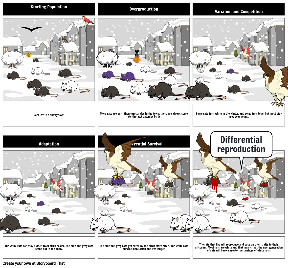 natural-selection-storyboard-by-8991c0d3