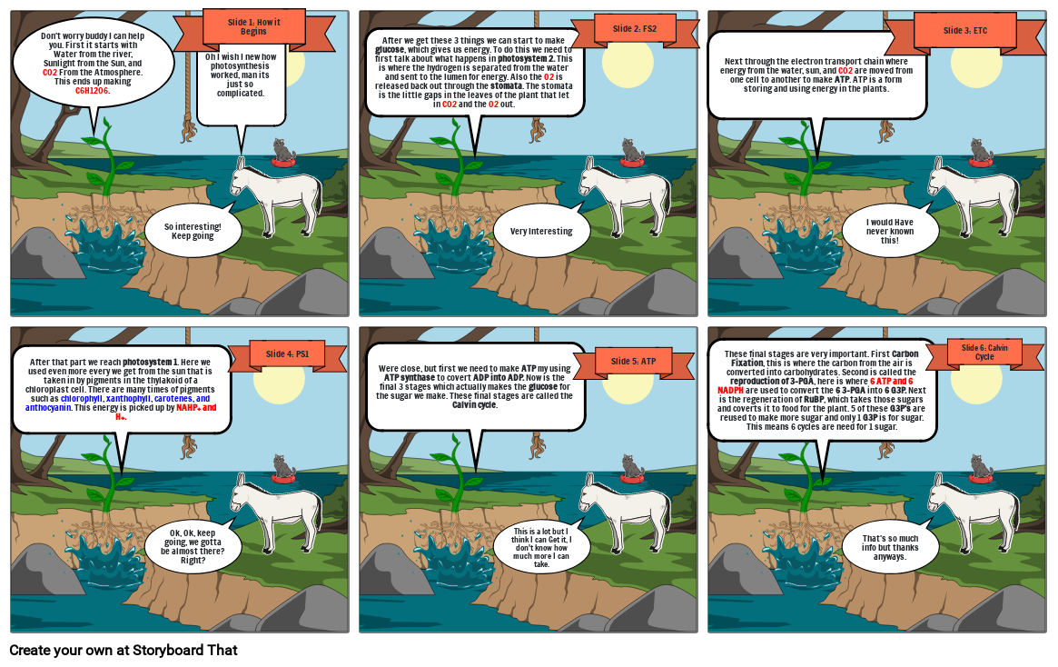 HSB Photosynthesis Storyboard: By Josh Zirgibel