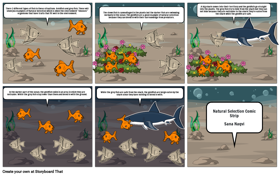 NAtural Selection Storyboard By 89f33130