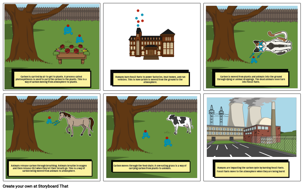 Carbon cycle