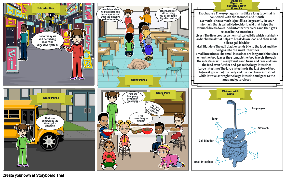 The Crazy World Of The Digestive System