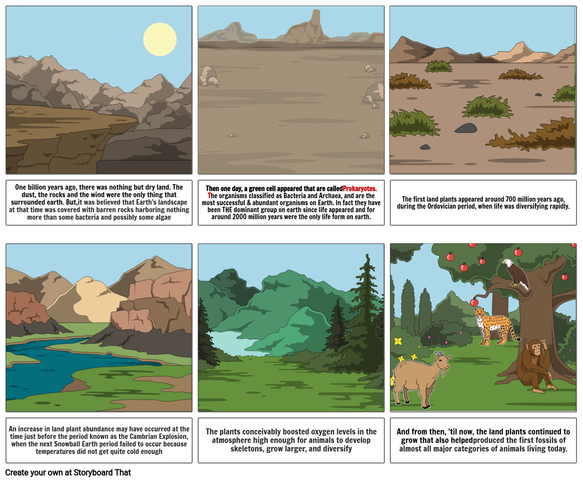 The First Land Plants Storyboard by 8eb4ce6c