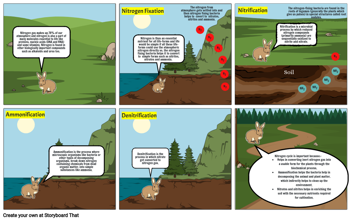 Nitrogen Cycle Storyboard By 8f1f59aa