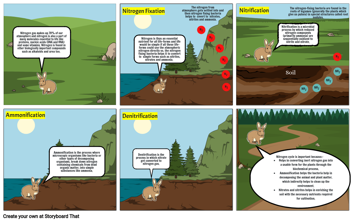 Nitrogen Cycle