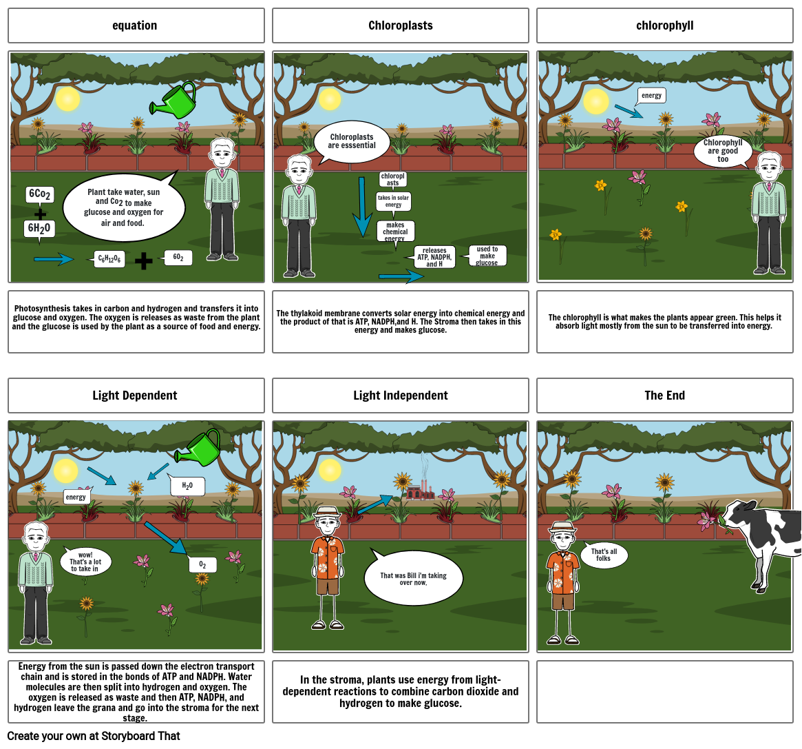 photosynthesis-storyboard-by-8fb171ef