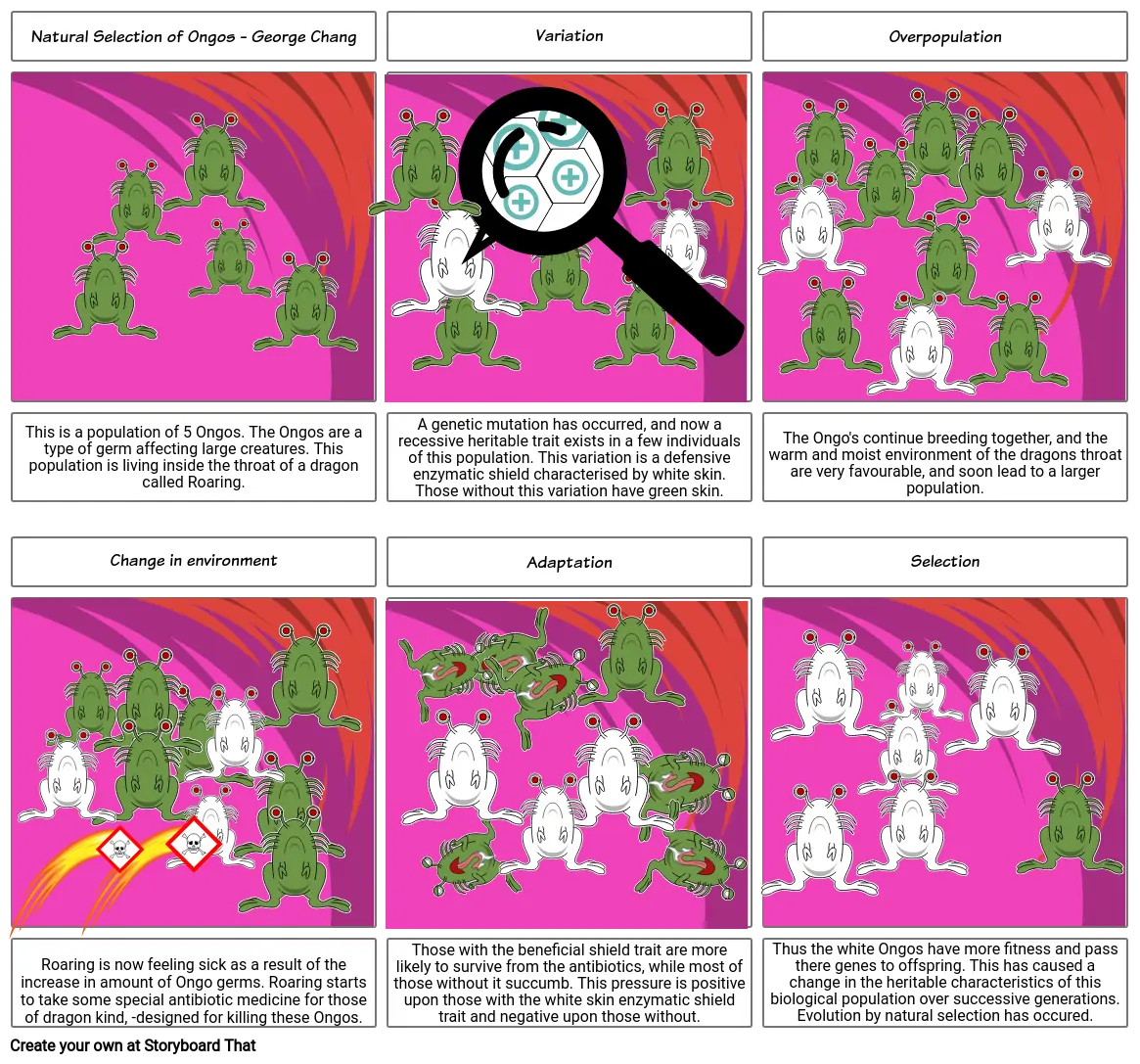 science storyboard