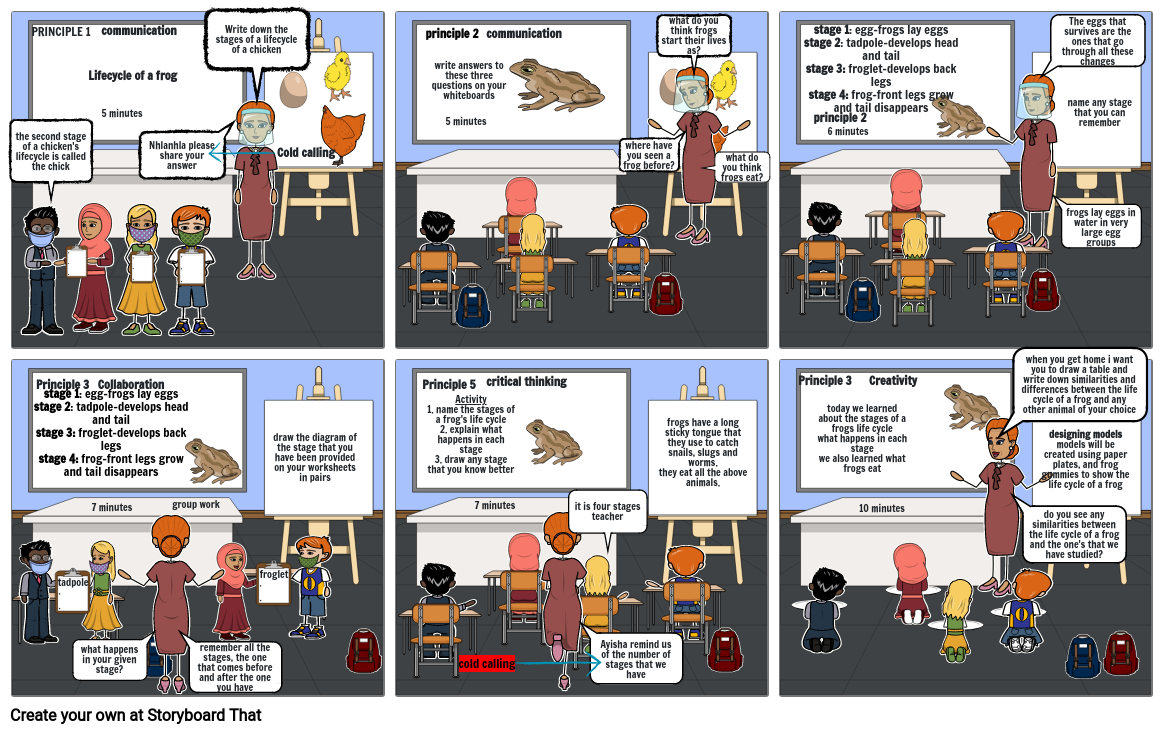 GRADE 3 STORYBOARD LESSON DESIGN: LIFE CYCLE OF AN AMPHIBIAN-FROG