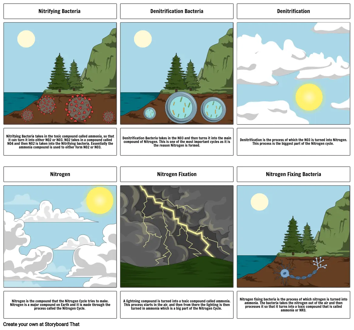 Nitrogen Cycle