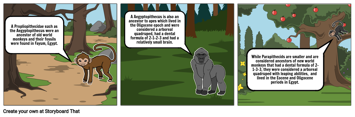 Propliopithecids vs. Parapithecids Storyboard by 94cf230b
