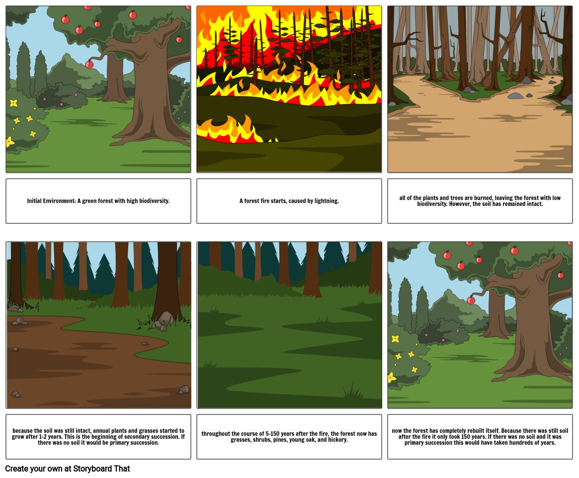 Secondary succession comic strip Storyboard by 9551416c