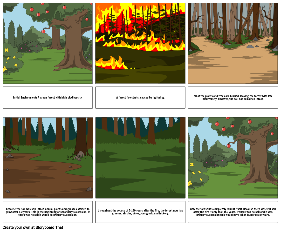 Secondary succession comic strip