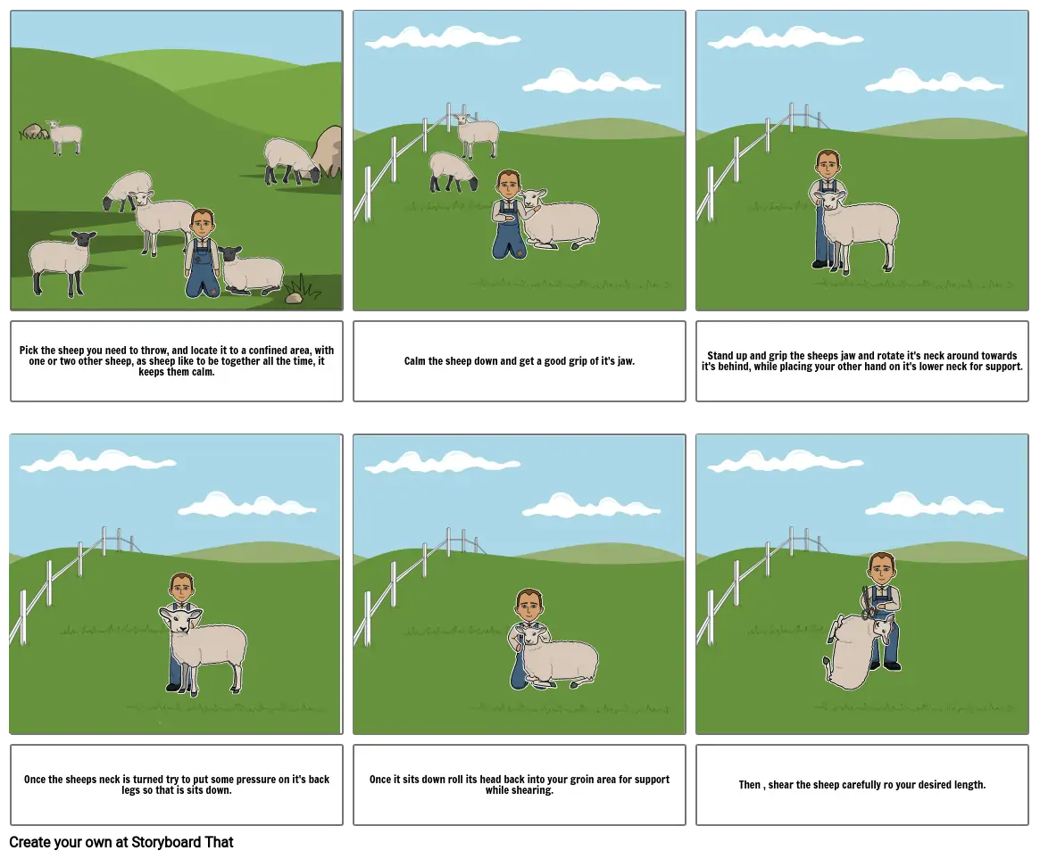 Sheep throwing