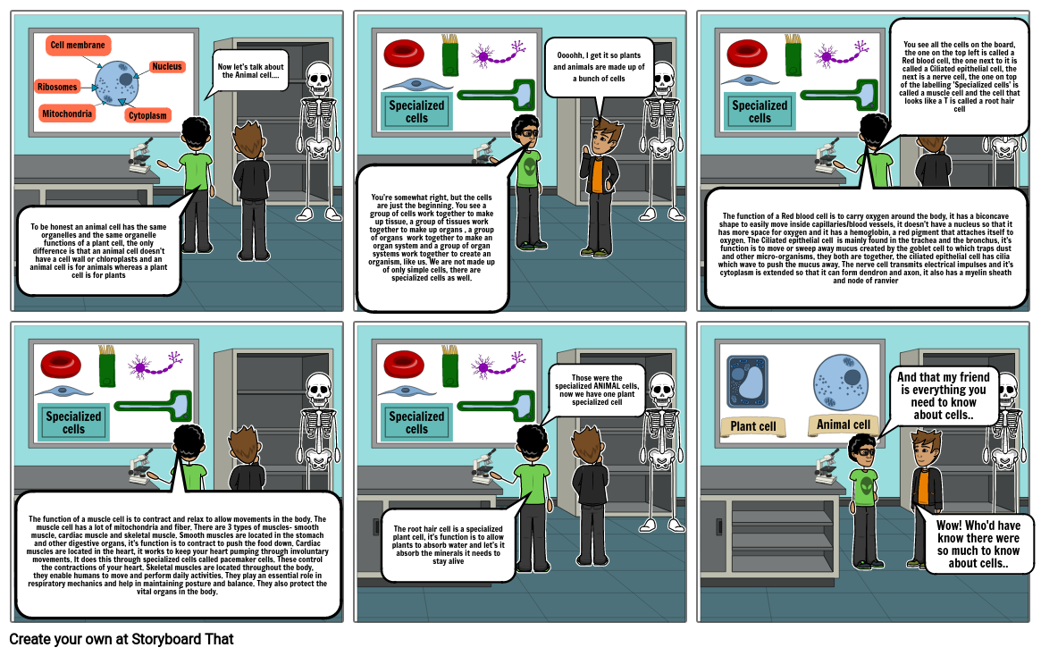 Plants & Animal cells part 2 Storyboard by 961cccdf