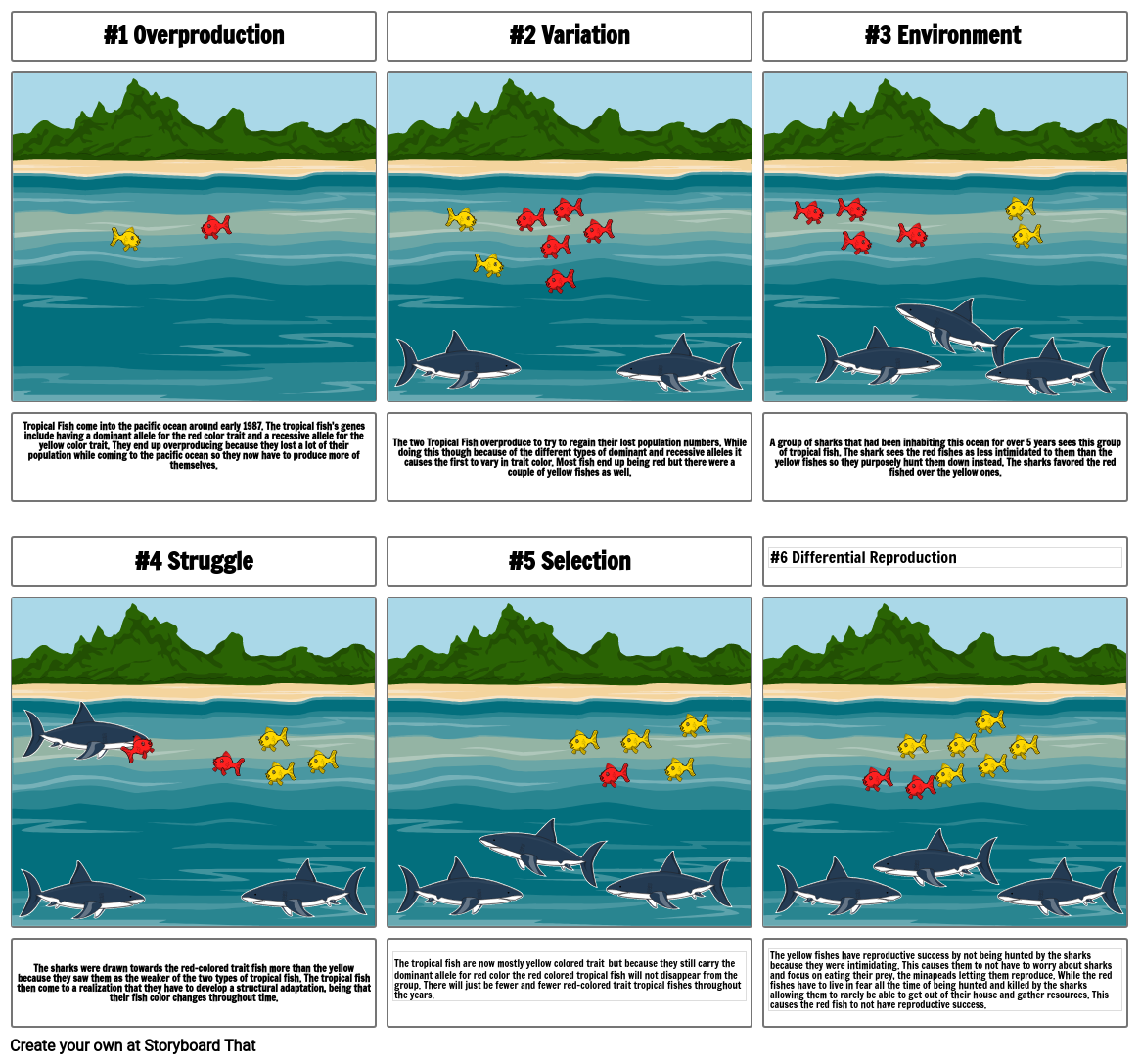 storyboard-wikipedia