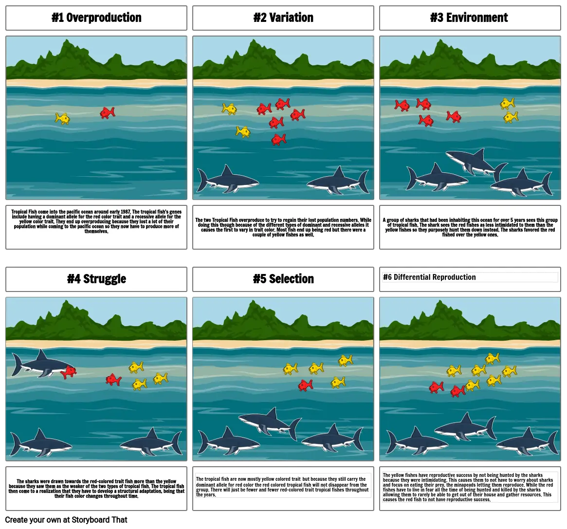 Evo Storyboard