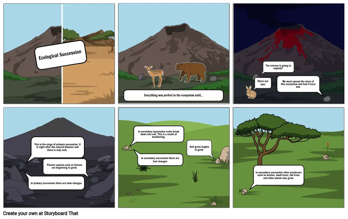 Ecological Succession Comic Strip Project