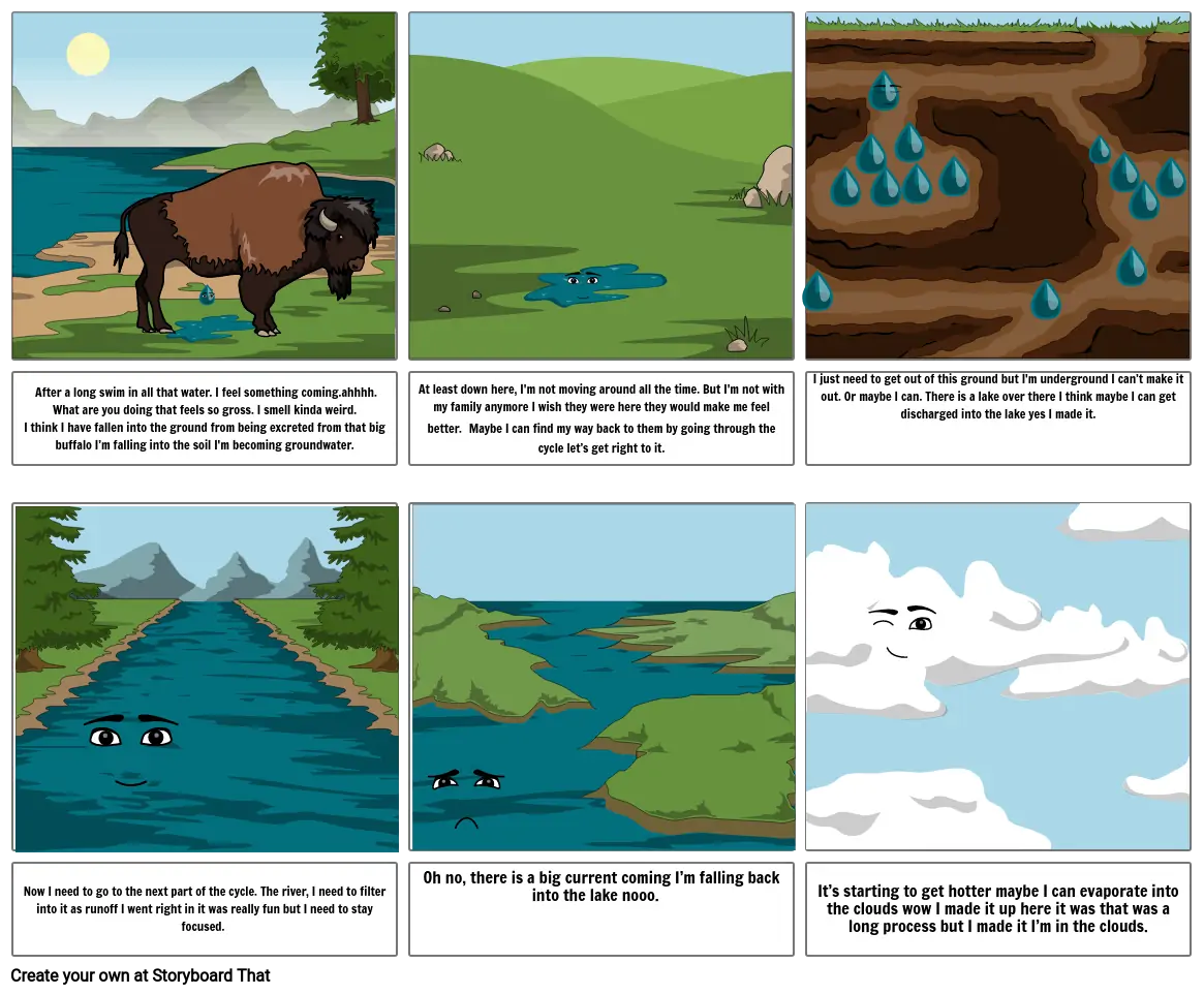 Water cycle