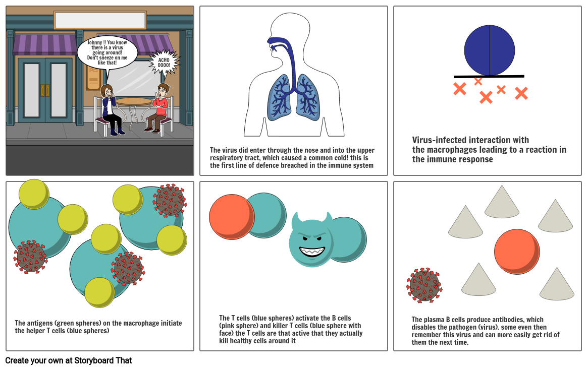 the immune system