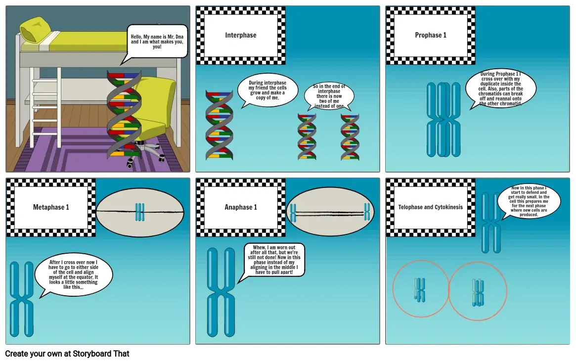 Meiosis Storyboard By 98fcca7a