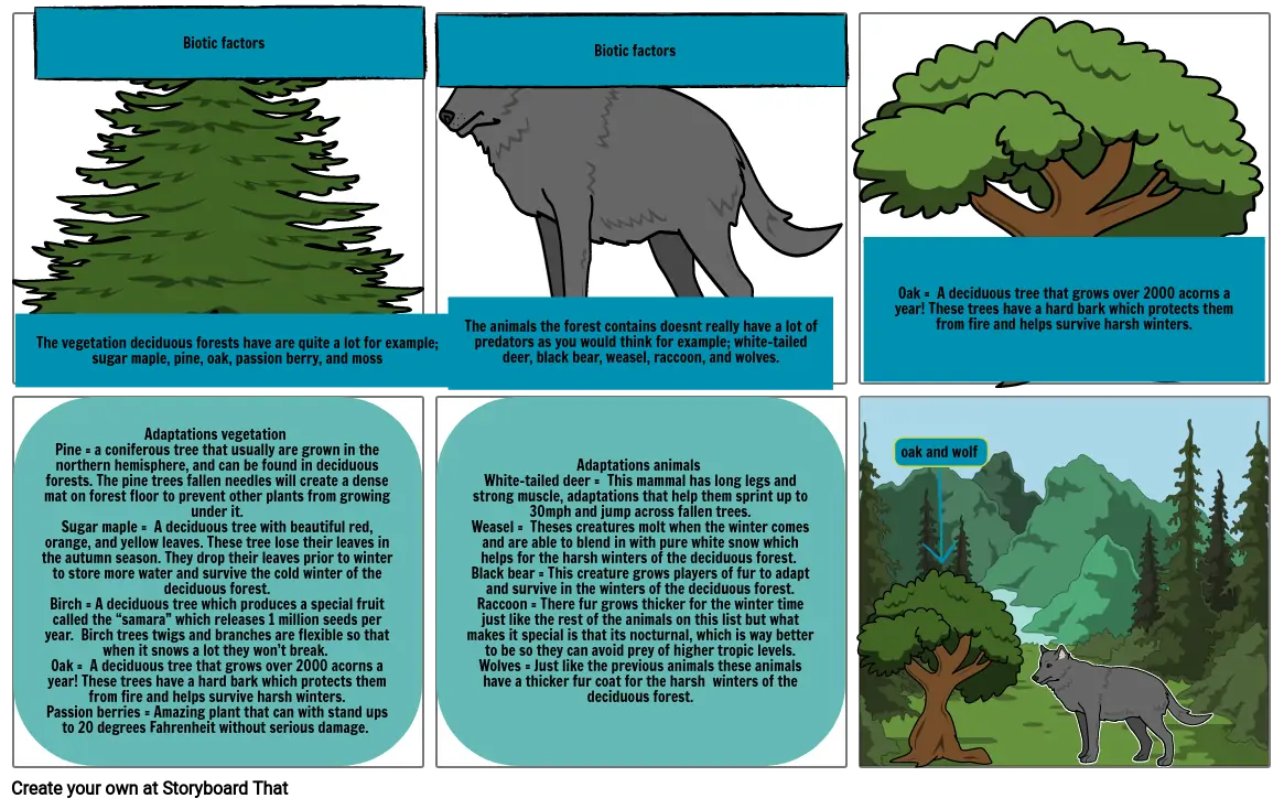 Deciduous forest project part 2