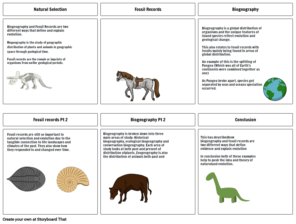 Science Story-Board 