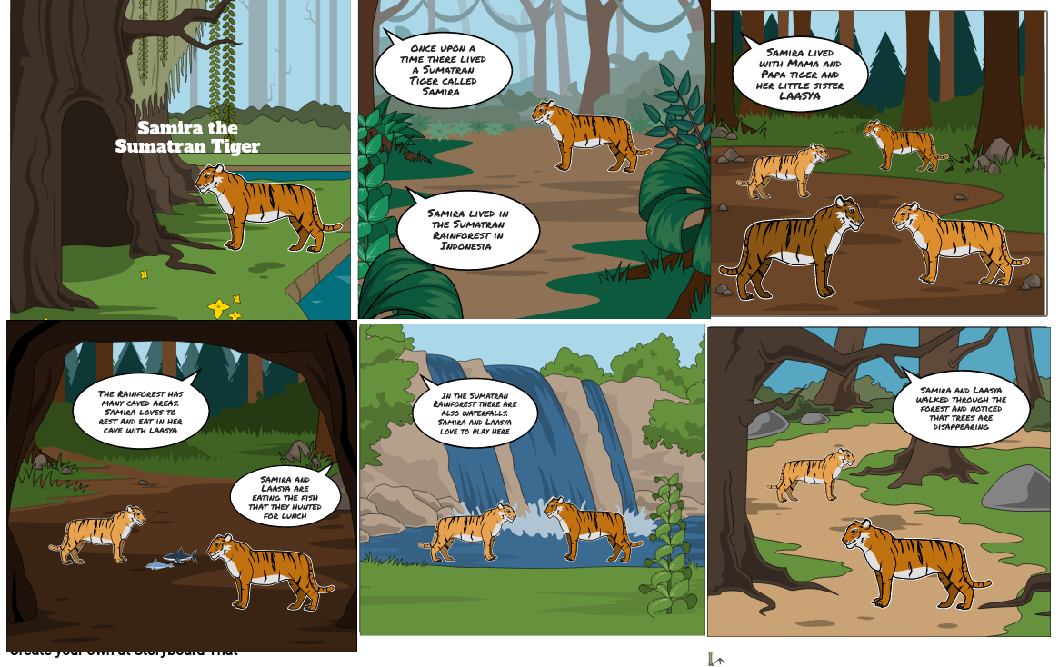 Samira the Sumatran Tiger Storyboard by 9e014013