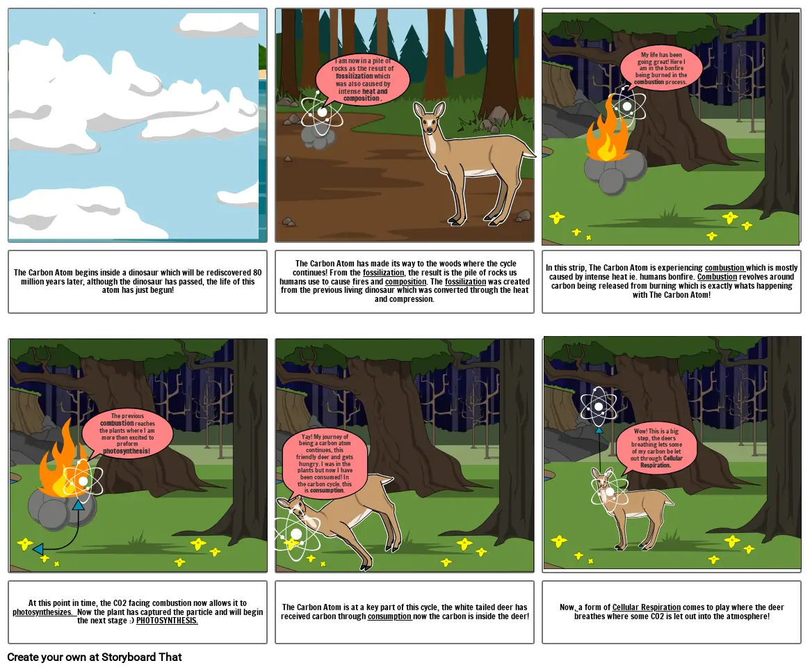 carbon cycle cartoon