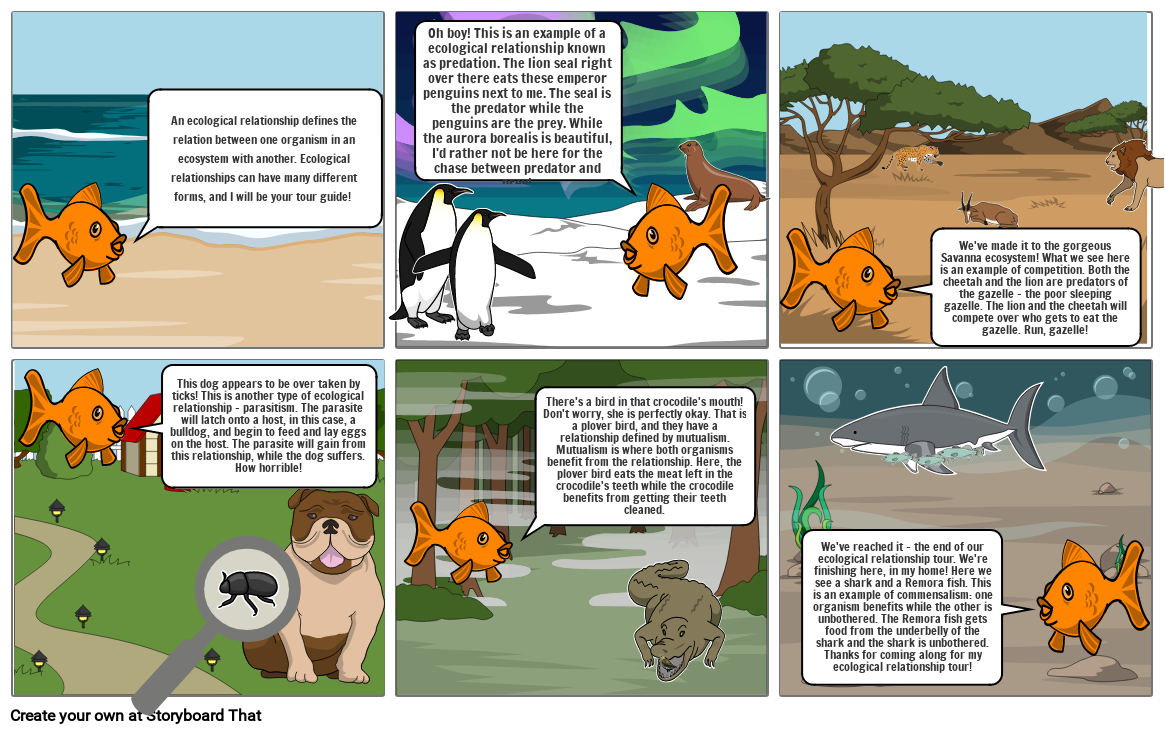 Untitled Storyboard Süžeeskeem Poolt a1a2127b