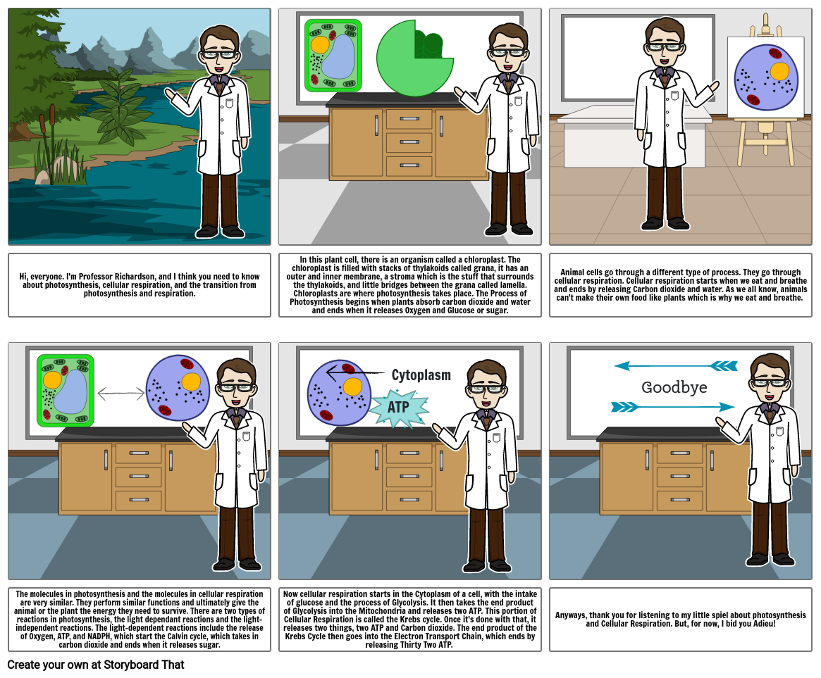 2-07-photosynthesis-storyboard-by-a2b3780c