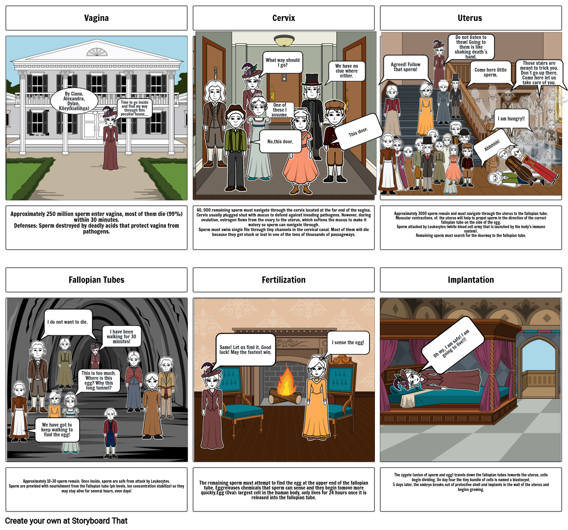 Journey of The Sperm Storyboard por a356babc