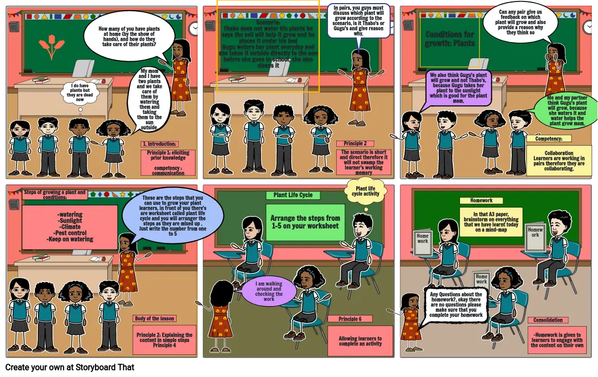 Grade 4 Natural Sciences storyboard lesson on conditions for growth: plants