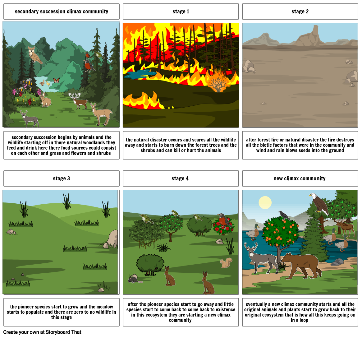 secondary succession in mountain