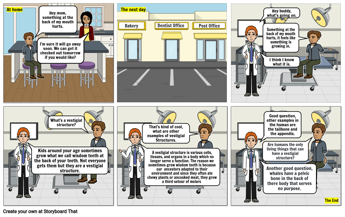Evolution Comic Strip Storyboard by a8be8b94