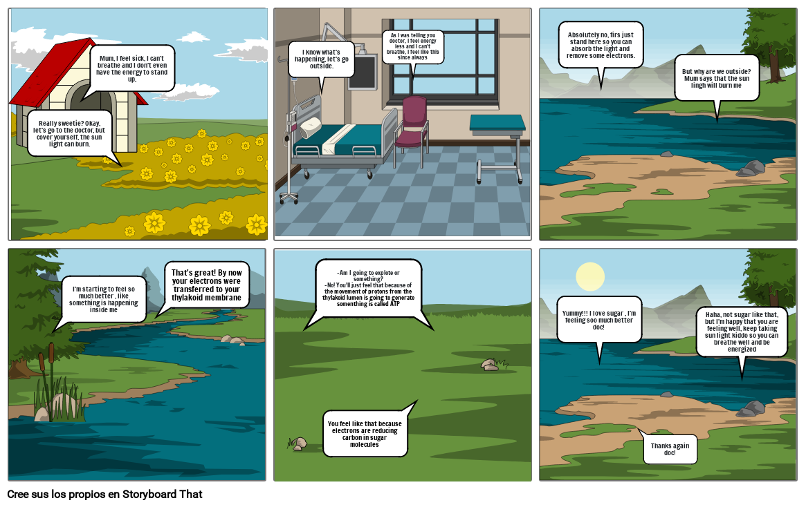 How plants get energy (photosynthesis) Storyboard