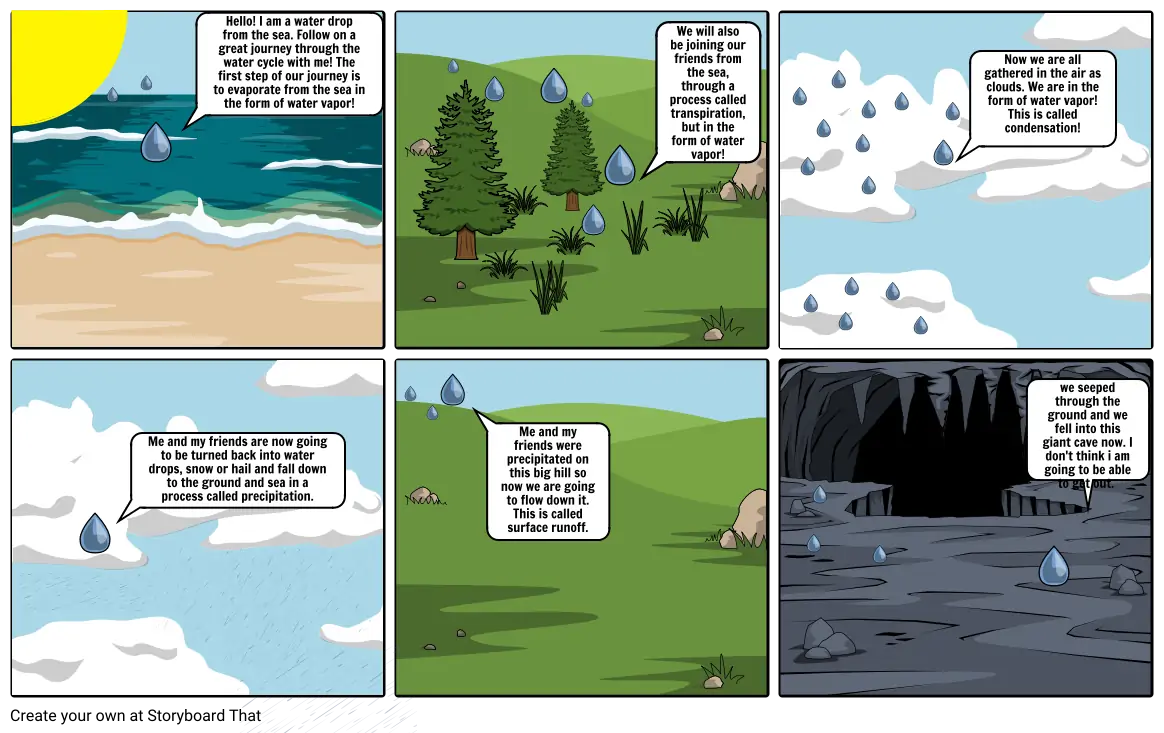 Journey Through The Water Cycle