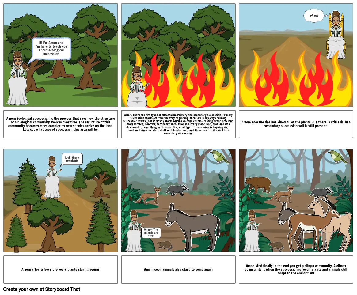 ecological succession Storyboard by a9bec046