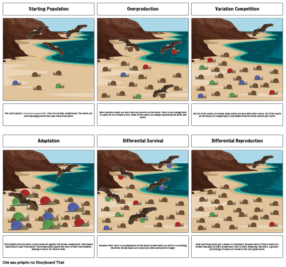 concept-map-natural-selection-storyboard-par-ab0326e5