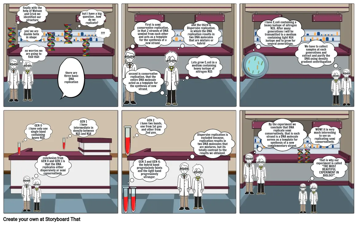 MESELSON AND STAHL EXPERIMENT - STORYBOARD