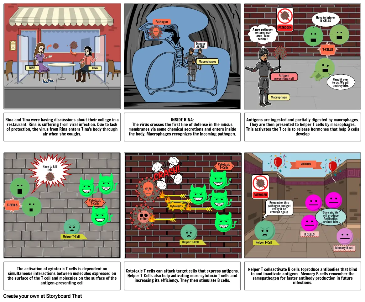 Overview of Immune System