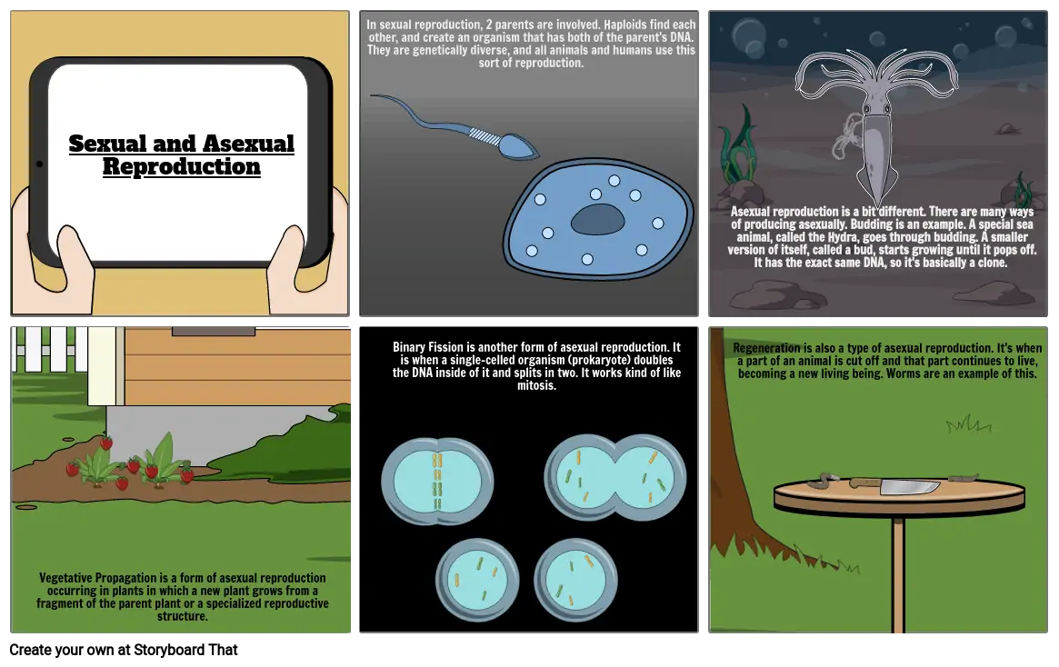 Sexual and Asexual Reproduction