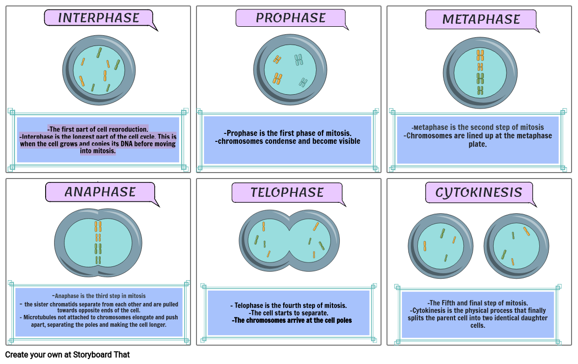 Performance task in Bio-tech and Comp-Sci