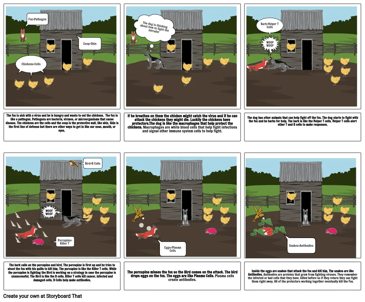 Immune System Storyboard