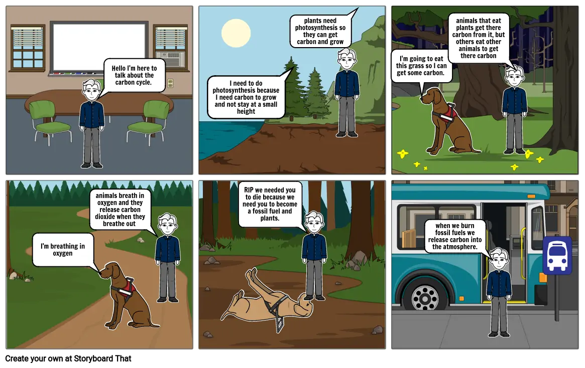 carbon cycle