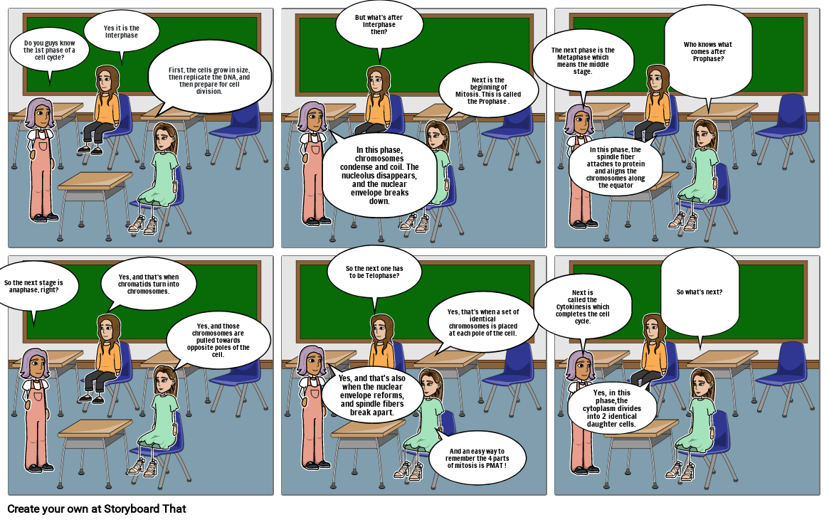 cell-division-and-cycle-story-board-storyboard