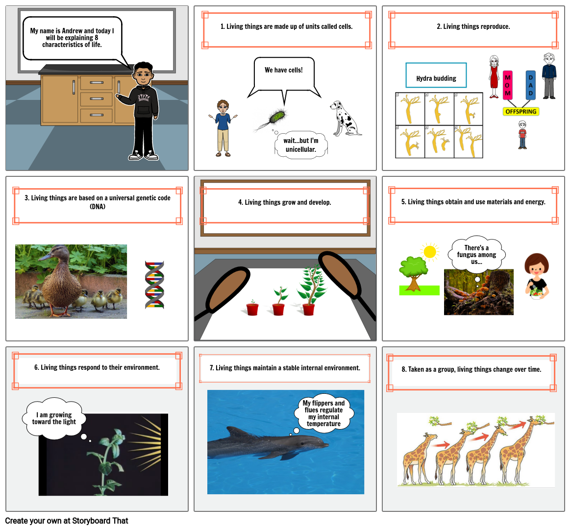Biology 8 Characterisitcs Of Life Storyboard By Andrewdiaz